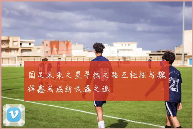 国足未来之星寻找之路王钰栋与魏祥鑫或成新武磊之选