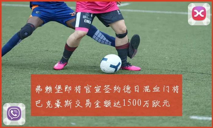 弗赖堡即将官宣签约德日混血门将巴克豪斯交易金额达1500万欧元