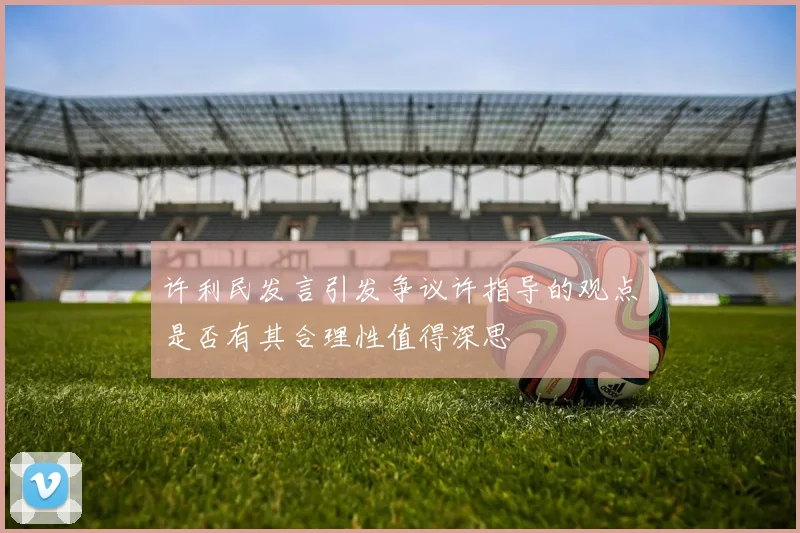 许利民发言引发争议许指导的观点是否有其合理性值得深思